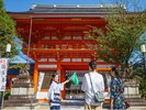 アクティビティ:祇園うるわし「朝まいり」