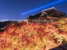 周辺観光