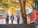 アクティビティ:祇園うるわし朝まいり