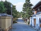 アクティビティ:祇園うるわし朝まいり