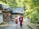 青蓮院門跡