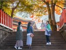 アクティビティ:祇園うるわし朝まいり