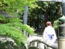 諏訪大社下社秋宮を散策&お参りへどうぞ♪