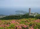 ≪春≫星ヶ山公園 さつきの郷