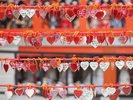 �W���_�ЃX�|�b�g�i�ʐ^�񋟁F���v�Вc�@�l�@�a�̎R���ό��A���j