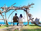 �F�����X�|�b�g�i�ʐ^�񋟁F���v�Вc�@�l�@�a�̎R���ό��A���j