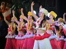 ポリネシアン・グランドステージ(夜のショー 指定席のみ)