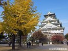 【周辺・観光】大阪城