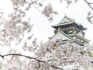 【周辺・観光】大阪城