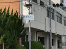 �D���̐M��������