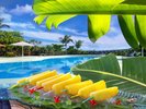 �Ċ�����u���t���b�V�������g�v