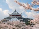 熱海城・桜庭園より