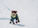 【黒姫高原スノーパーク】ふかふかの雪と絶景が魅力♪家族で楽しめるゲレンデ!
