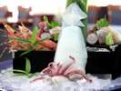 日本海で獲れた白烏賊(※料理内容一例イメージ)