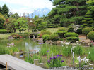 藤田記念庭園(夏)