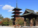 紅葉と五重塔(ごじゅうのとう)(秋)
