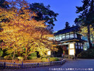 弘前公園最長寿の紅葉したソメイヨシノ(秋)