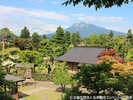 藤田記念庭園から見た岩木山(夏)