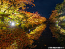 弘前城の外濠の紅葉(秋)