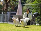 【ヴィラ別邸】 Siki -秋-ドッグラン