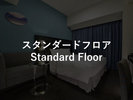 スタンダードフロア