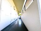 マンションをリノベーションした廊下