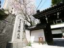 【周辺観光】大阪天満宮の桜
