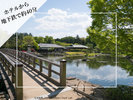 白鳥庭園