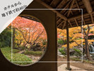 白鳥庭園