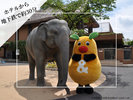 東山動植物園