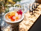 <ラウンジ 雅 MIYABI>※ビールはございません。