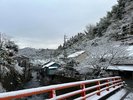 冬の景色