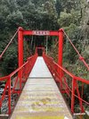 ほたる橋5分ほど歩くと見ることができます。