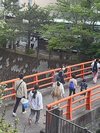 鶴水荘の橋