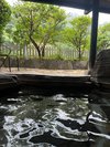 【山ん湯】