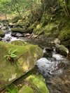 湯の鶴の滝の風景
