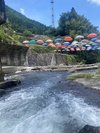 湯の鶴の風景