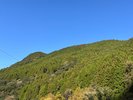 湯の鶴の風景