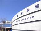 京都水族館(ホテルより徒歩・電車約30分)