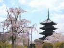 東寺(ホテルより徒歩・電車約20分)