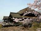清水寺(ホテルより徒歩・バス約40分)