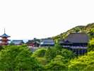 清水寺(ホテルより徒歩・バス約40分)