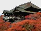 清水寺(ホテルより徒歩・バス約40分)