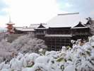 清水寺(ホテルより徒歩・バス約40分)