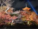 清水寺(ホテルより徒歩・バス約40分)
