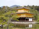 金閣寺(ホテルより徒歩・バス約40分)