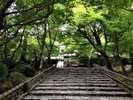 龍安寺(ホテルより徒歩・電車・バス約40分)