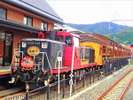 嵯峨野トロッコ列車(ホテルより徒歩・電車約40分)