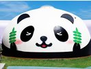 実は和歌山は山椒が名産!さんさん