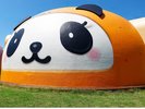 みかぱん